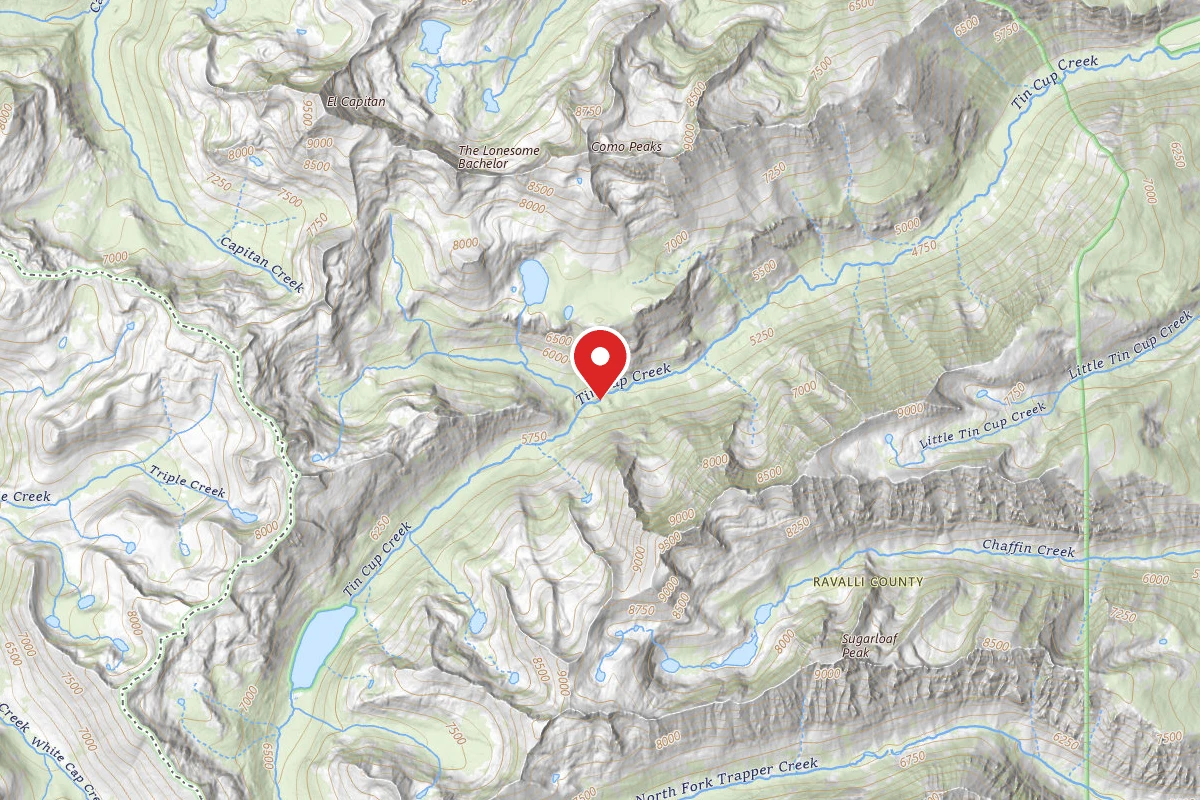 Dispersed Site near 45.9725, -114.3494