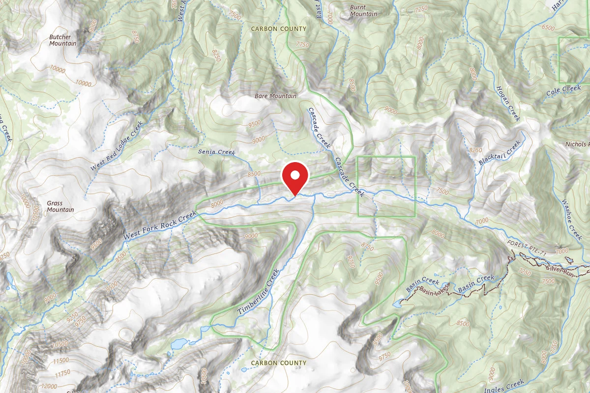 Dispersed Site near 45.1721, -109.4649