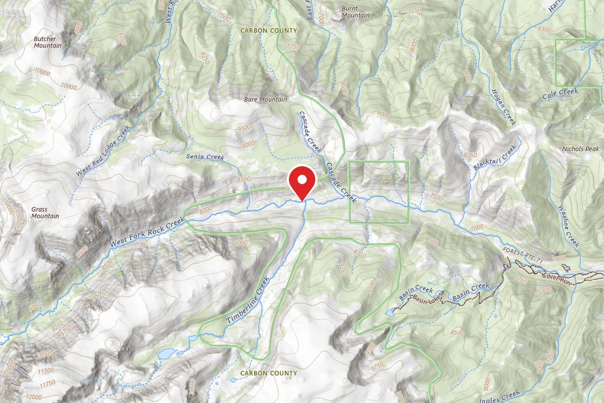 Dispersed Site near 45.1724, -109.4593