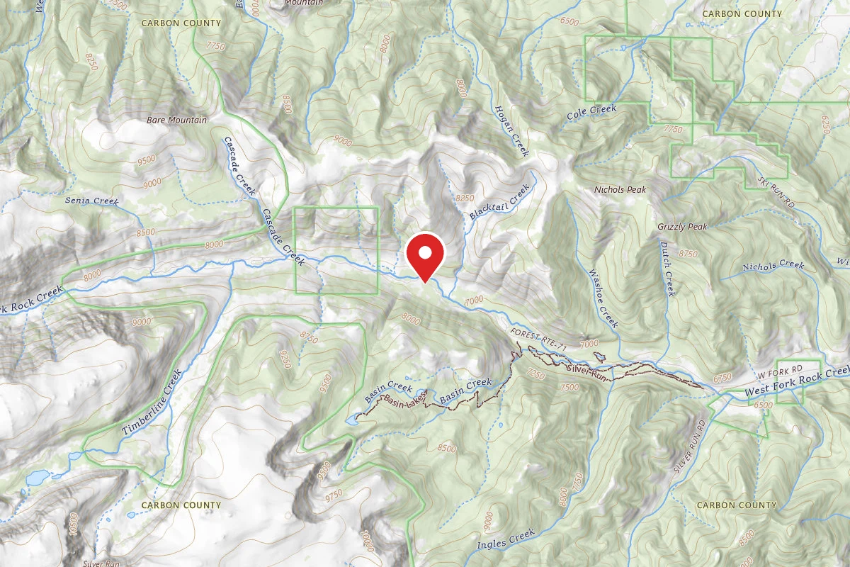 Dispersed Site near 45.1689, -109.4115