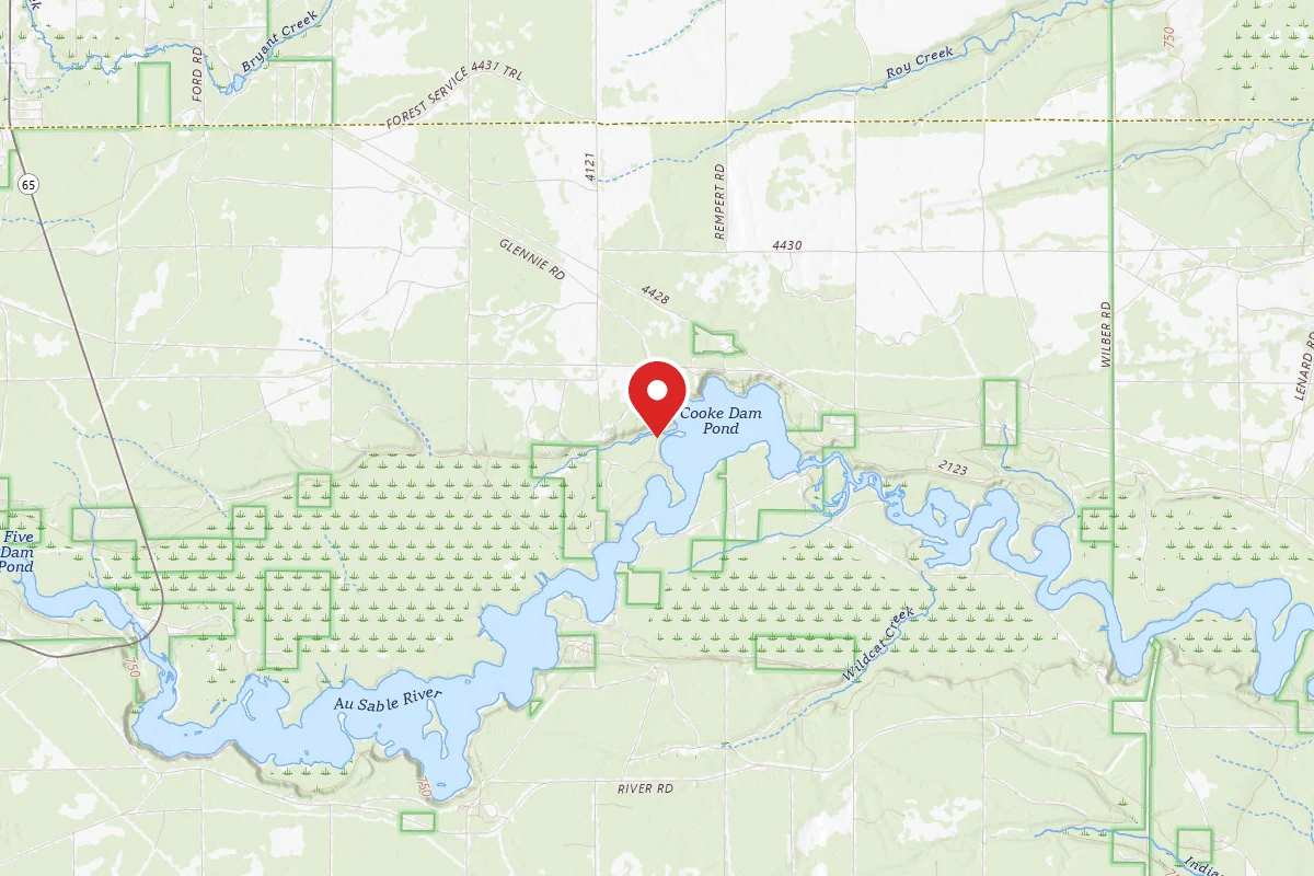 Dispersed Site near 44.4759, -83.5943