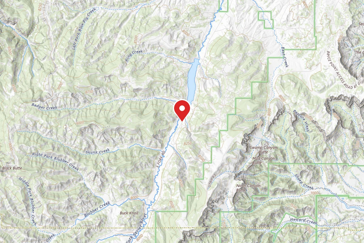 East Fork Dispersed Site 1