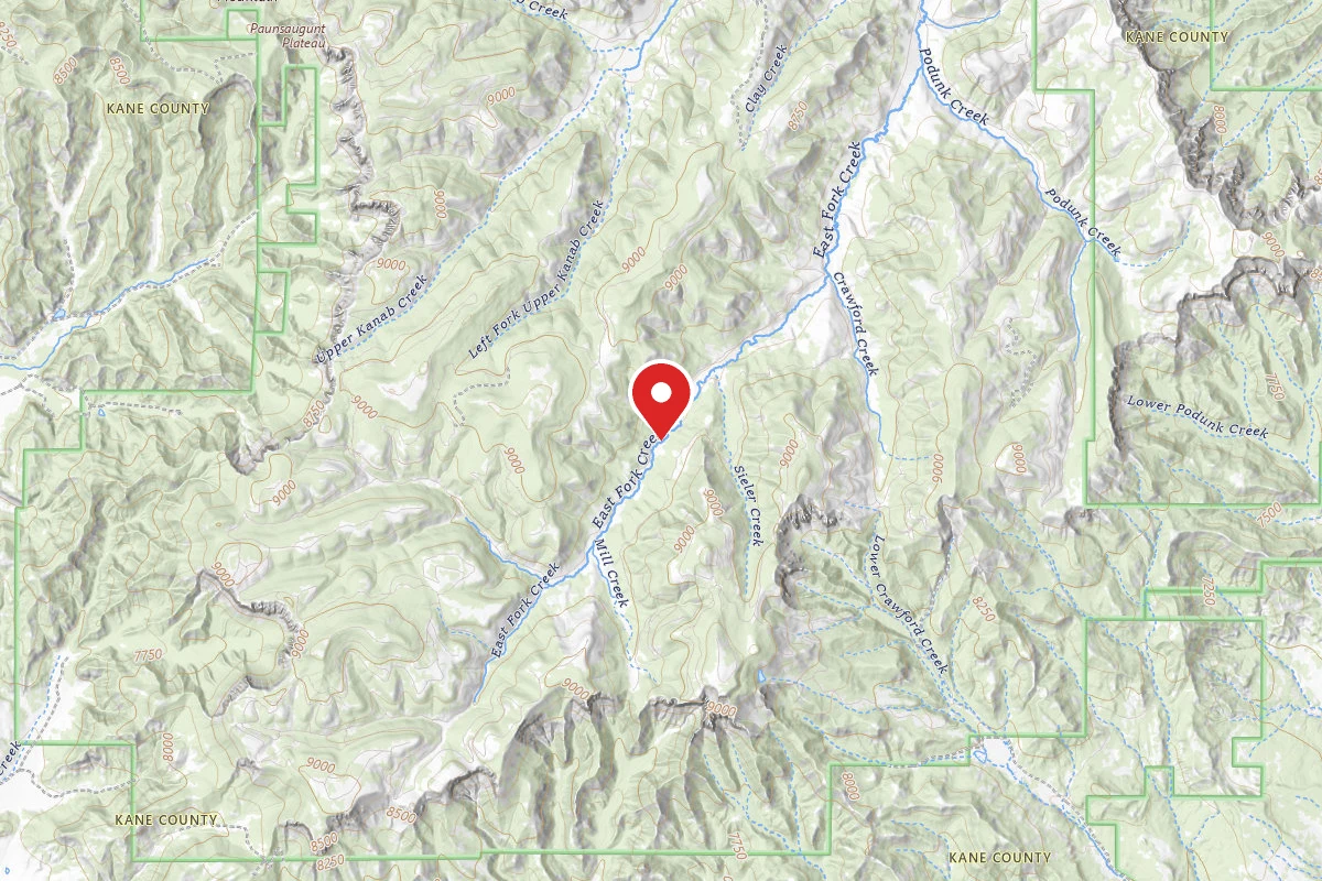 East Fork Dispersed Site 8