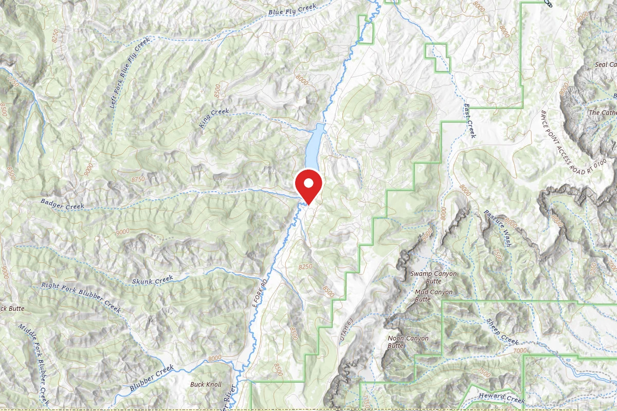 East Fork Dispersed Camping