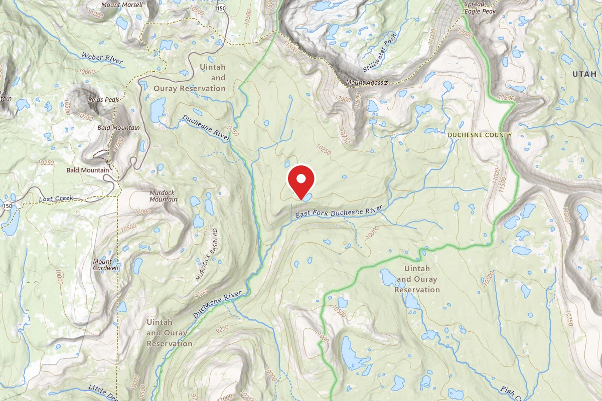 Dispersed Site near 40.6812, -110.8391