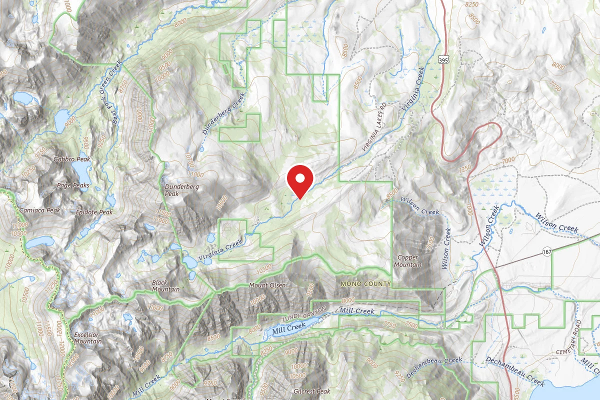 Lower Virginia Creek Primitive Campground