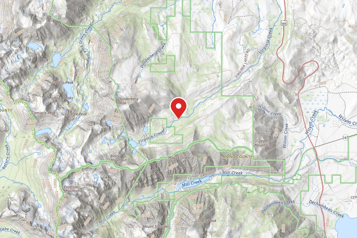 Upper Virginia Creek Primitive Campground