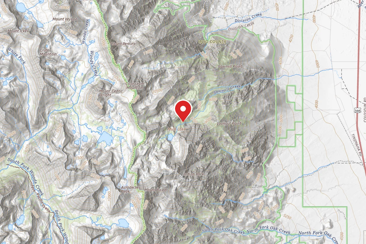 Dispersed Site near 36.8929, -118.3400