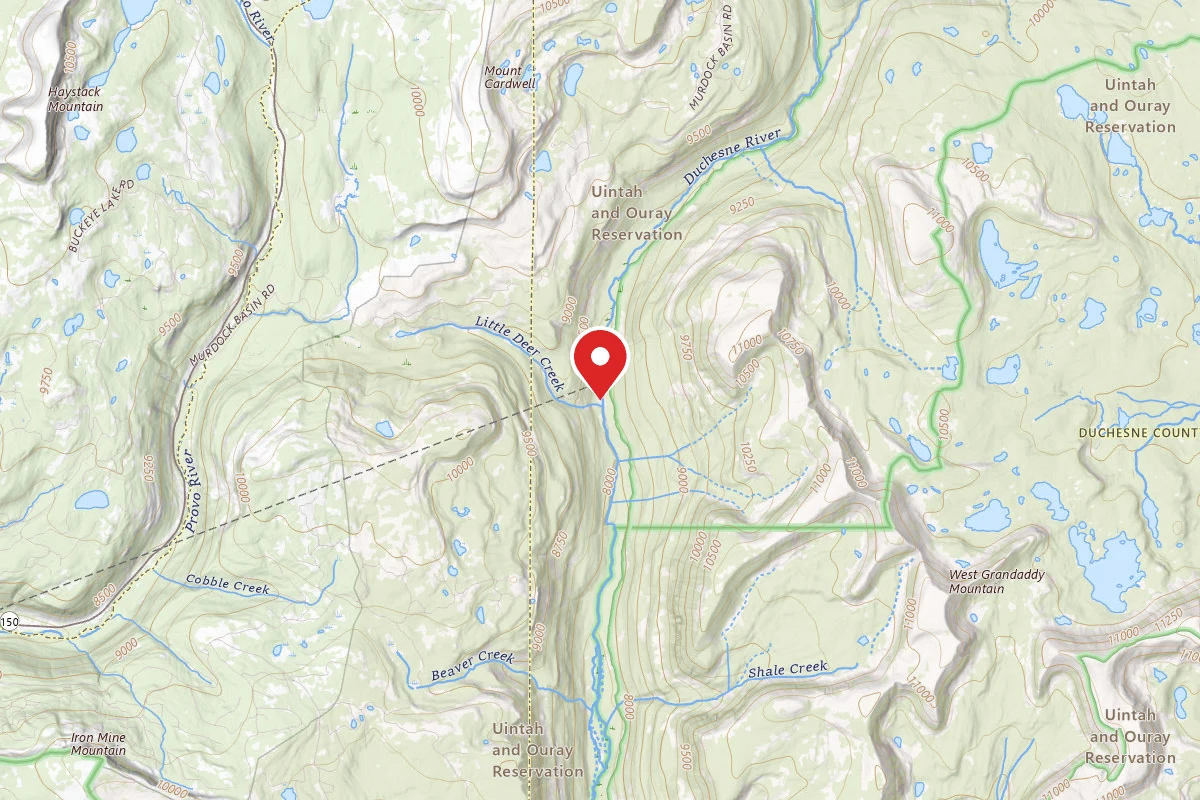 Dispersed Site near 40.6225, -110.8905