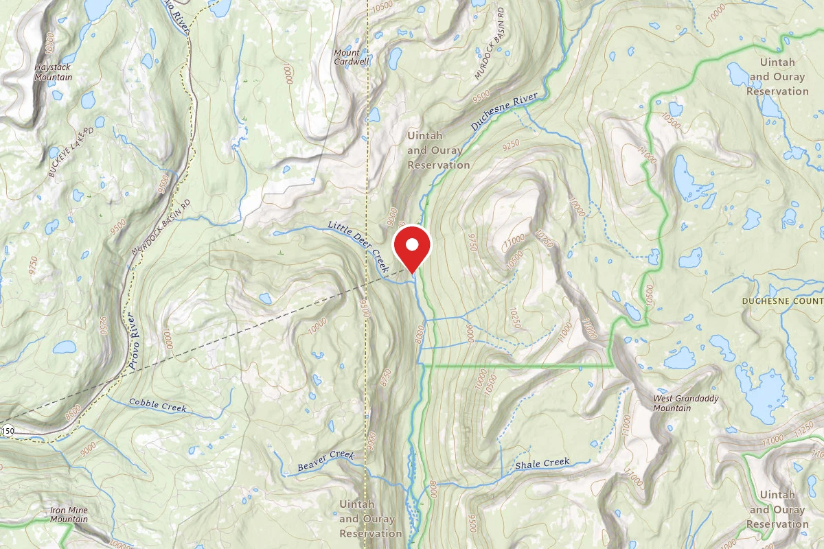 Dispersed Site near 40.6232, -110.8909