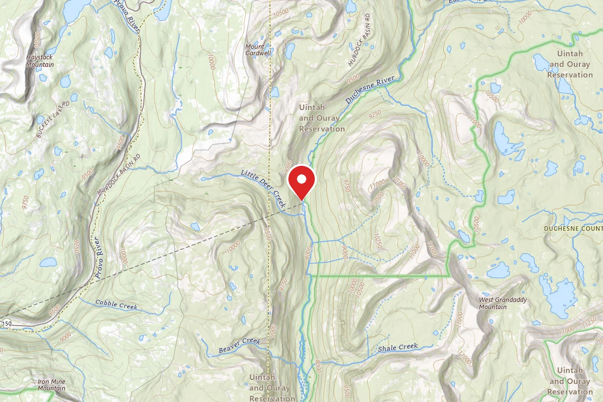 Dispersed Site near 40.6253, -110.8912