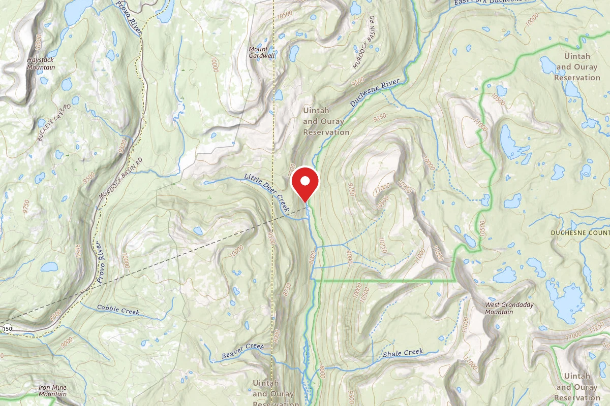 Dispersed Site near 40.6258, -110.8913