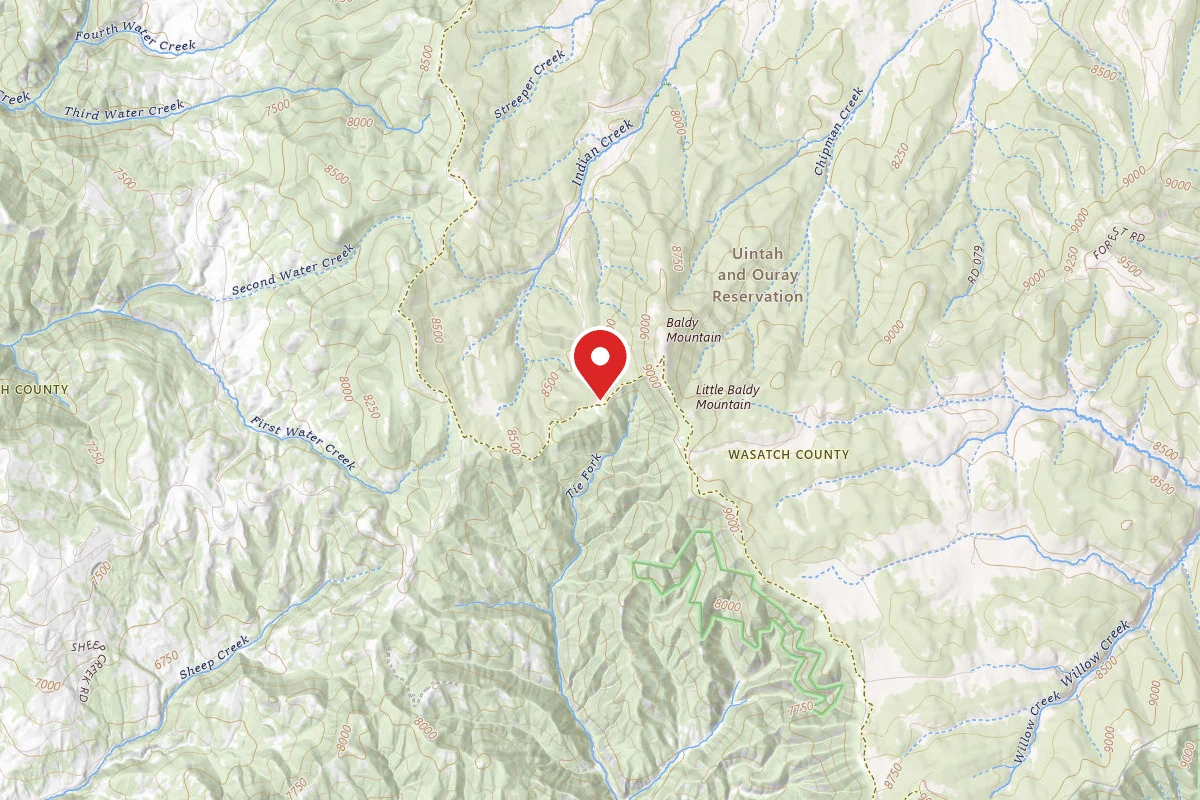 Dispersed Site near 40.0435, -111.2148