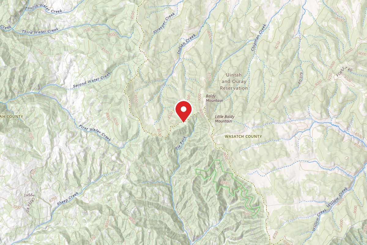 Dispersed Site near 40.0423, -111.2159