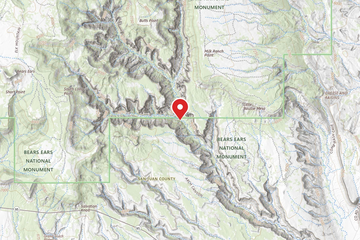 Dispersed Site near 37.6059, -109.7621