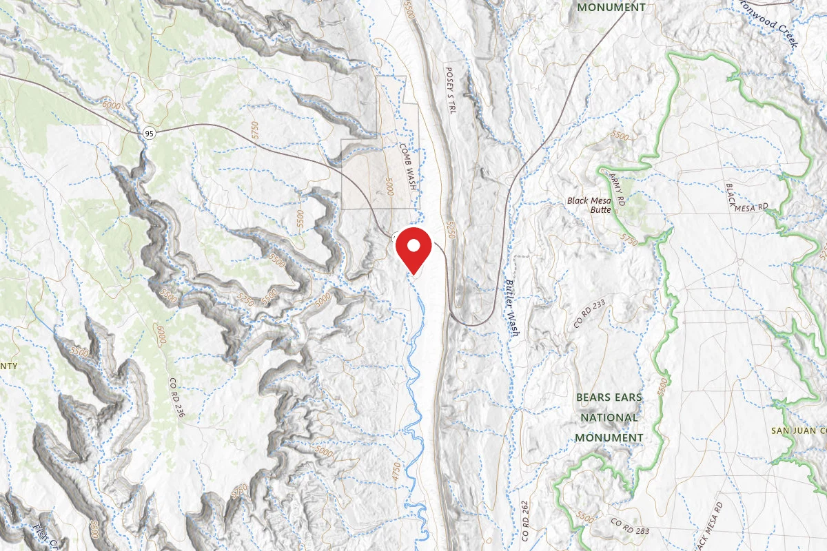 Dispersed Site near 37.5042, -109.6569