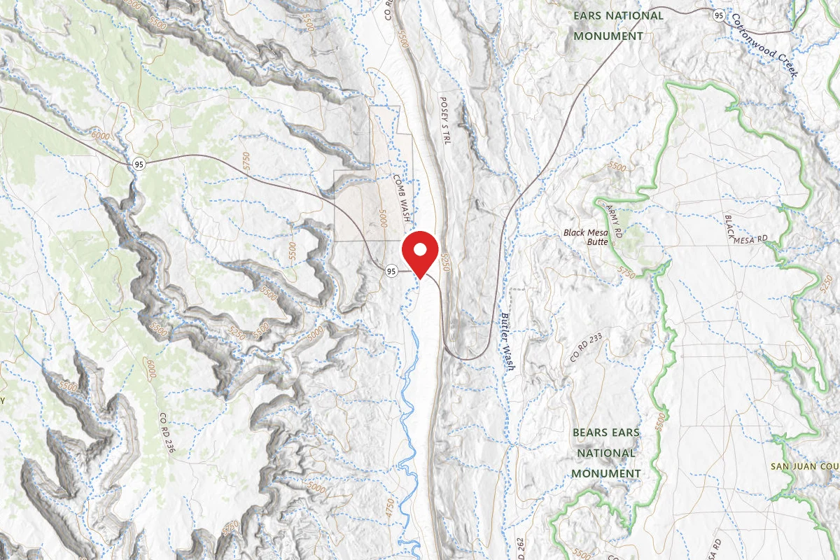 Dispersed Site near 37.5098, -109.6536