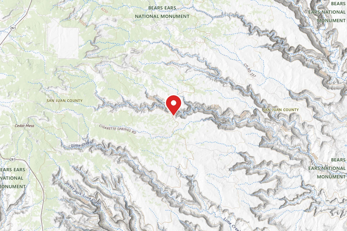 Dispersed Site near 37.3912, -109.8365