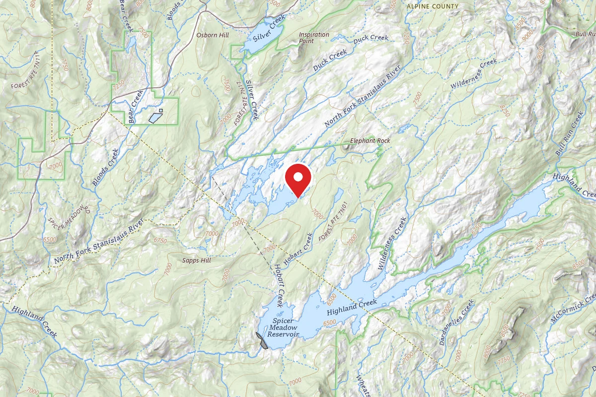 Dispersed Site near 38.4318, -119.9875
