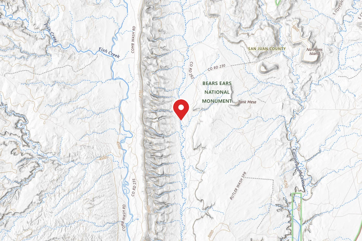 Dispersed Site near 37.3571, -109.6306