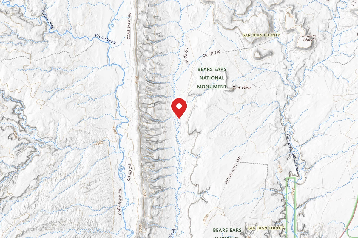 Dispersed Site near 37.3510, -109.6289