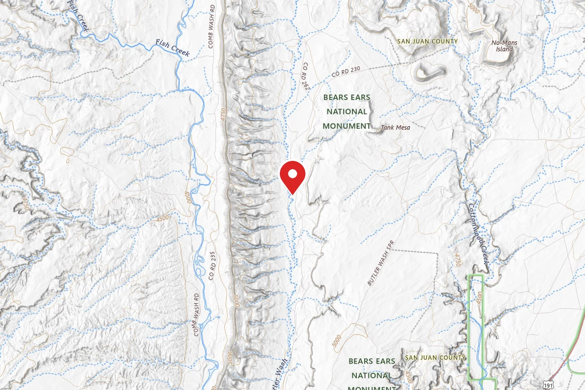 Dispersed Site near 37.3465, -109.6291