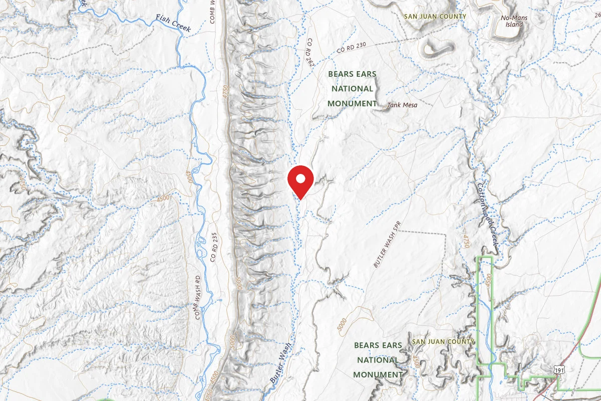 Dispersed Site near 37.3394, -109.6277