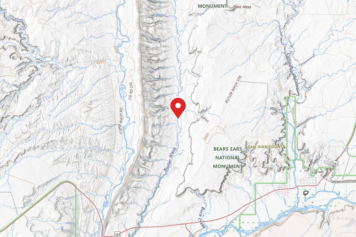 Dispersed Site near 37.3140, -109.6299