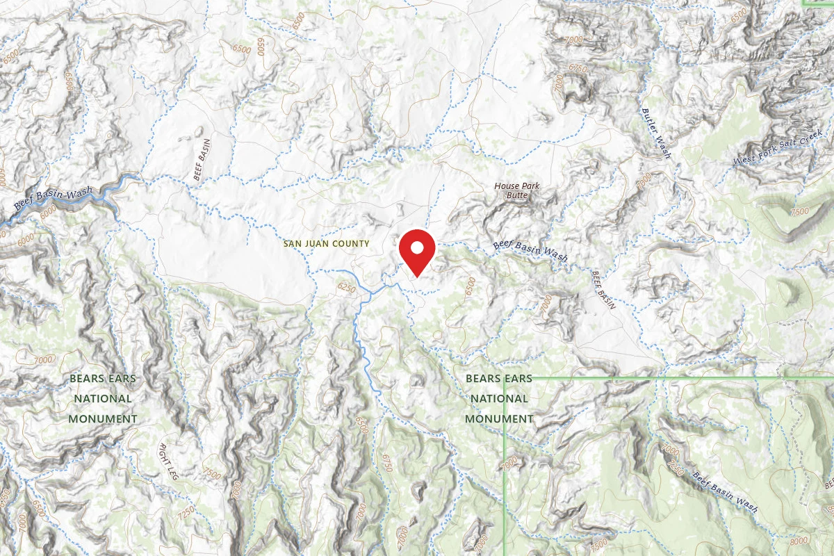 Dispersed Site near 37.9502, -109.8869
