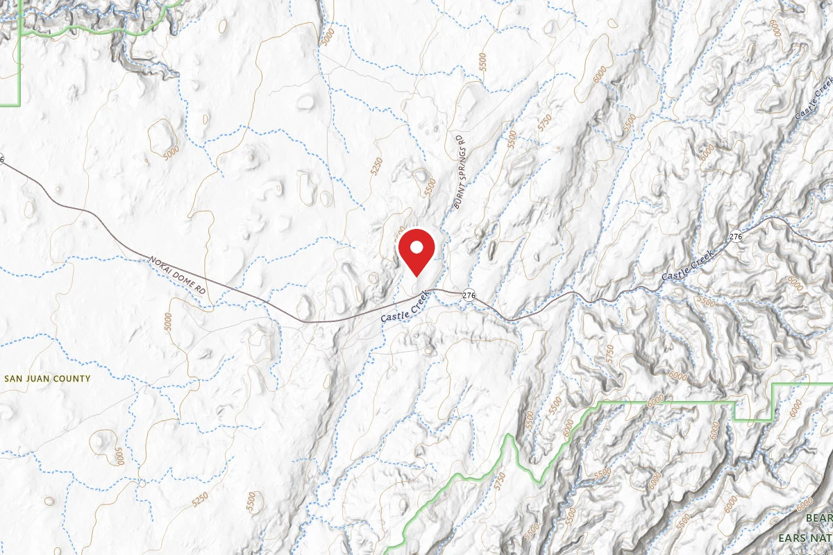 Dispersed Site near 37.4135, -110.4307