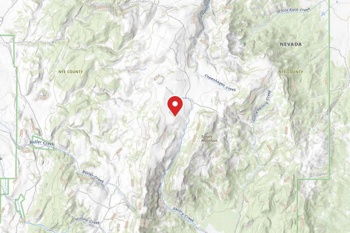 Dispersed Site near 39.0630, -116.4353