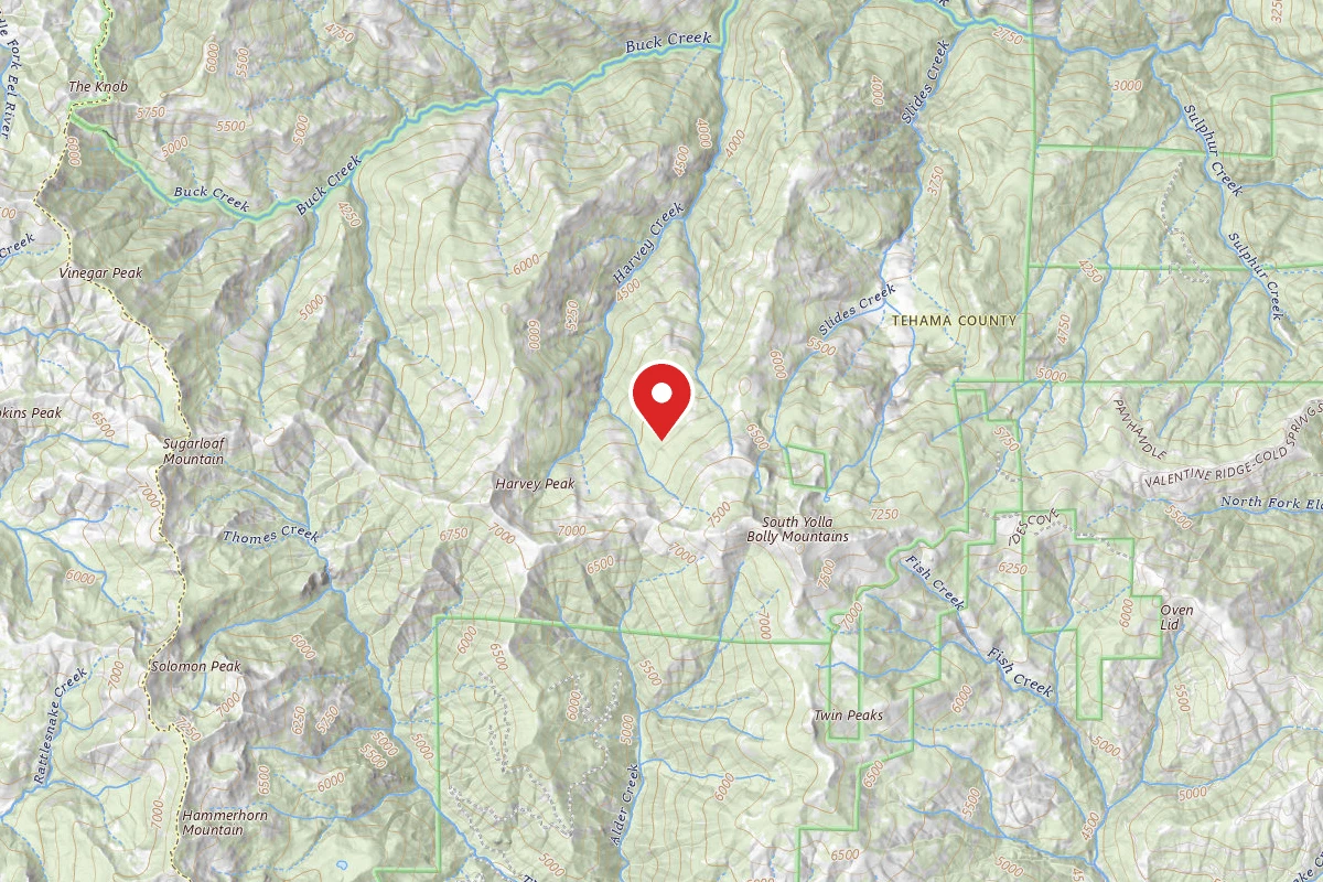 Cedar Basin Camp