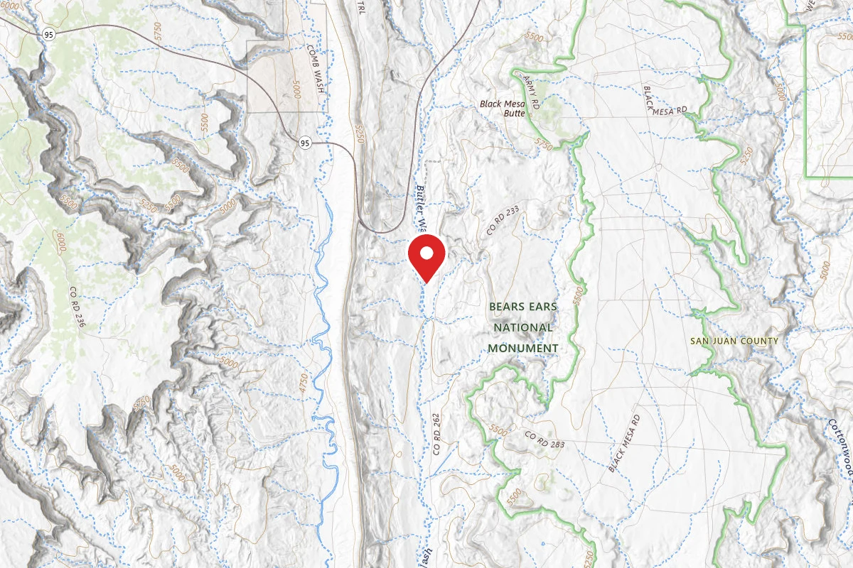 Dispersed Site near 37.4845, -109.6314