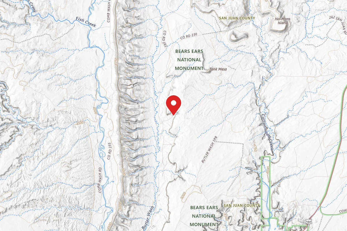 Dispersed Site near 37.3436, -109.6193