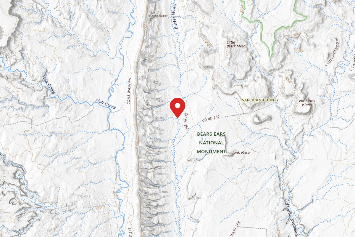 Dispersed Site near 37.3810, -109.6296