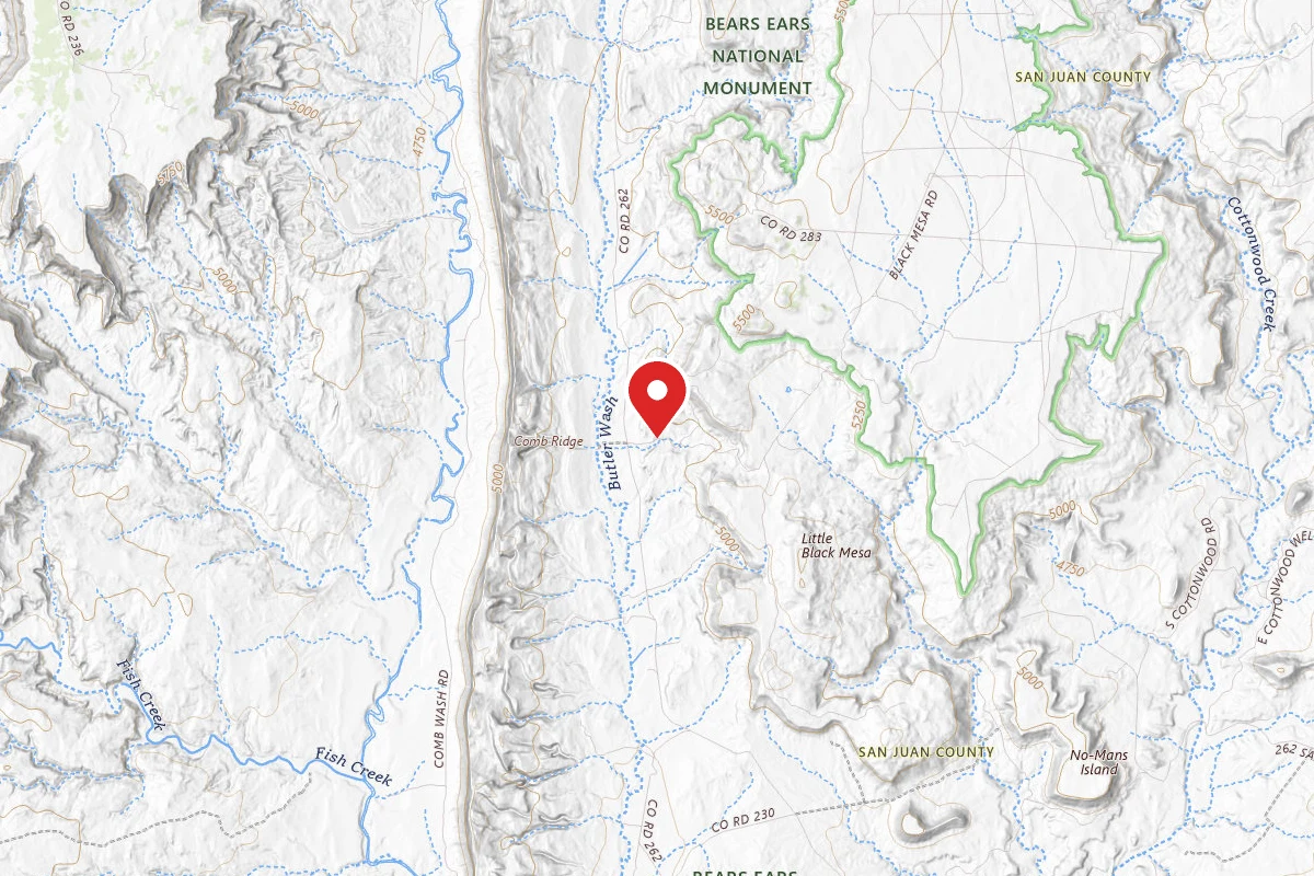Dispersed Site near 37.4286, -109.6238