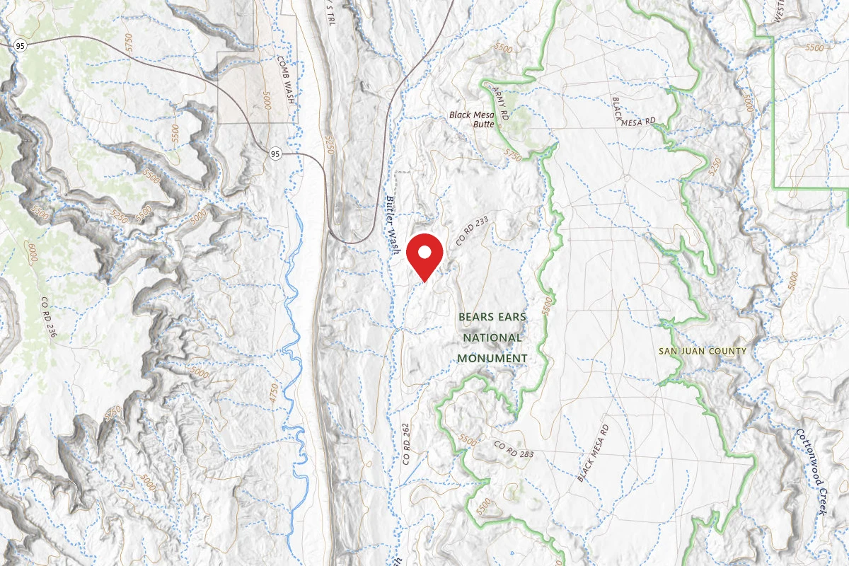 Dispersed Site near 37.4868, -109.6245