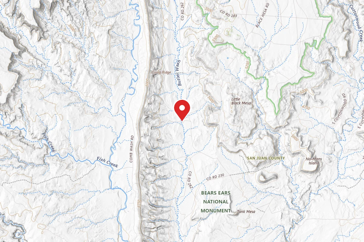 Dispersed Site near 37.4063, -109.6292
