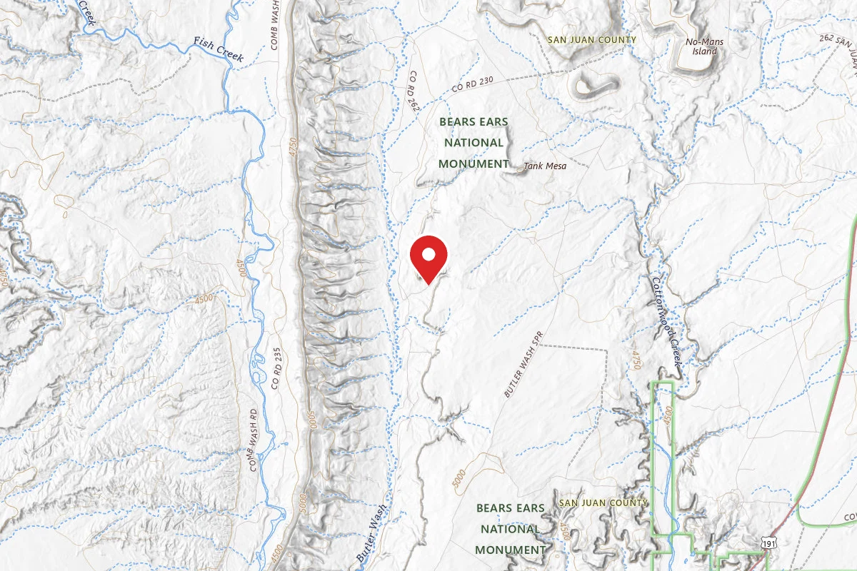 Dispersed Site near 37.3426, -109.6209