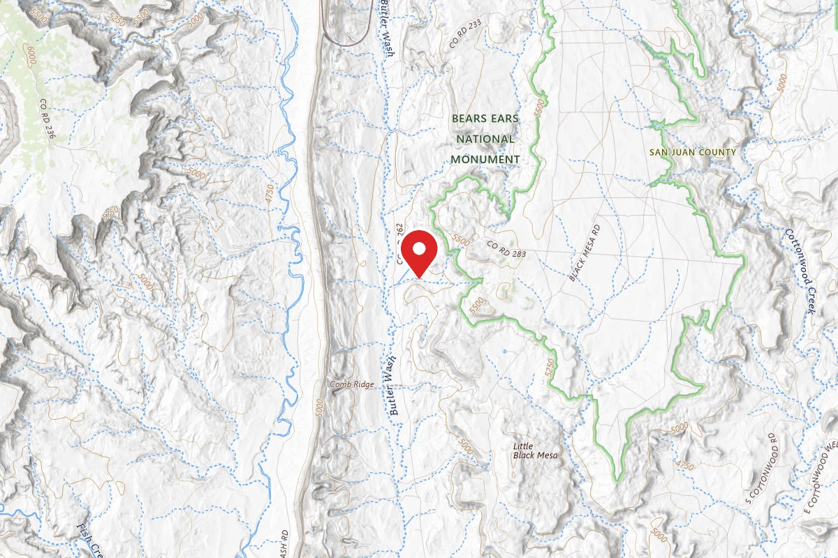 Dispersed Site near 37.4488, -109.6244