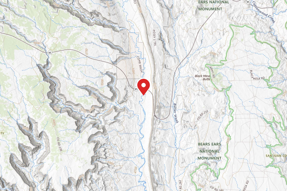 Dispersed Site near 37.5080, -109.6554