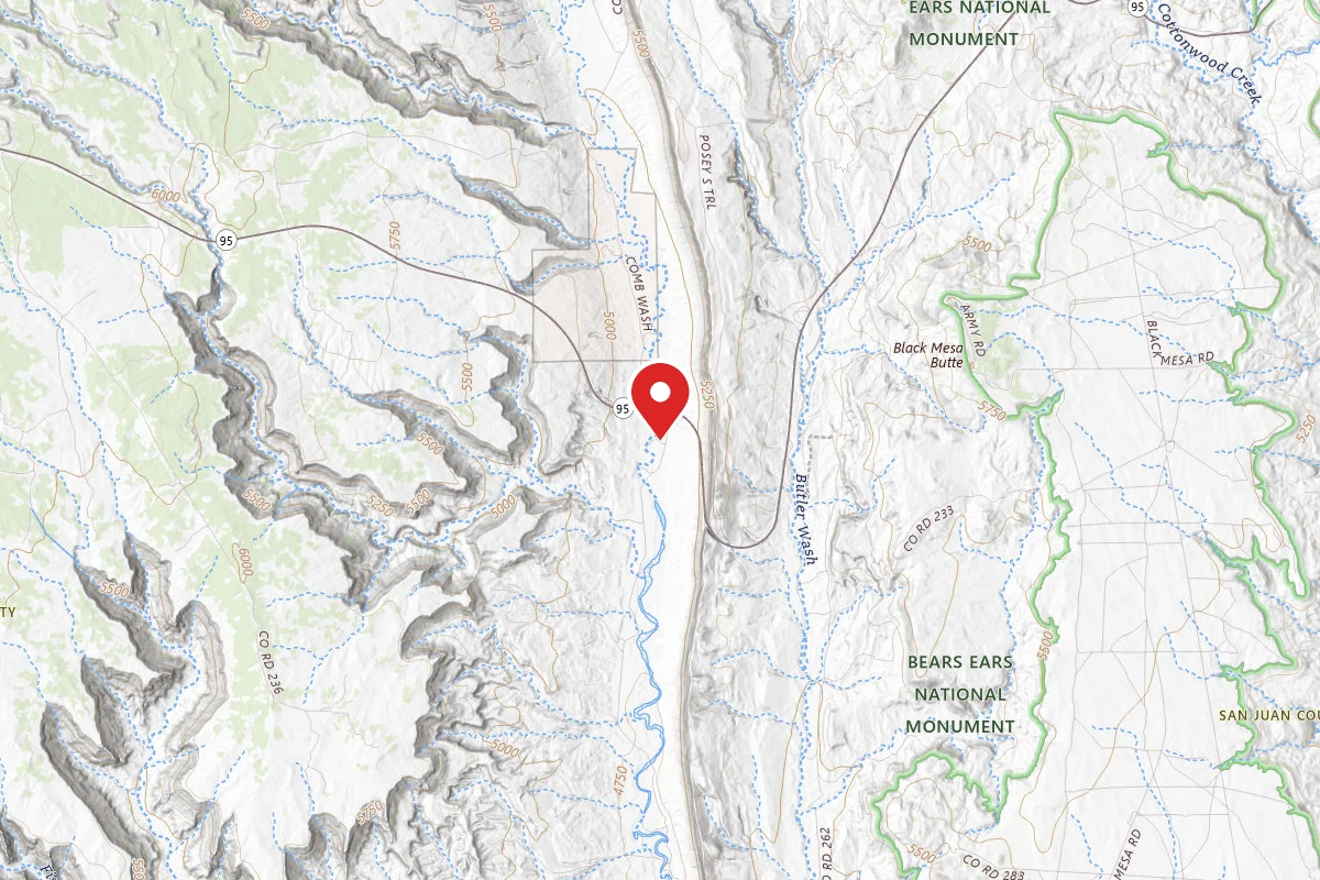 Dispersed Site near 37.5076, -109.6550