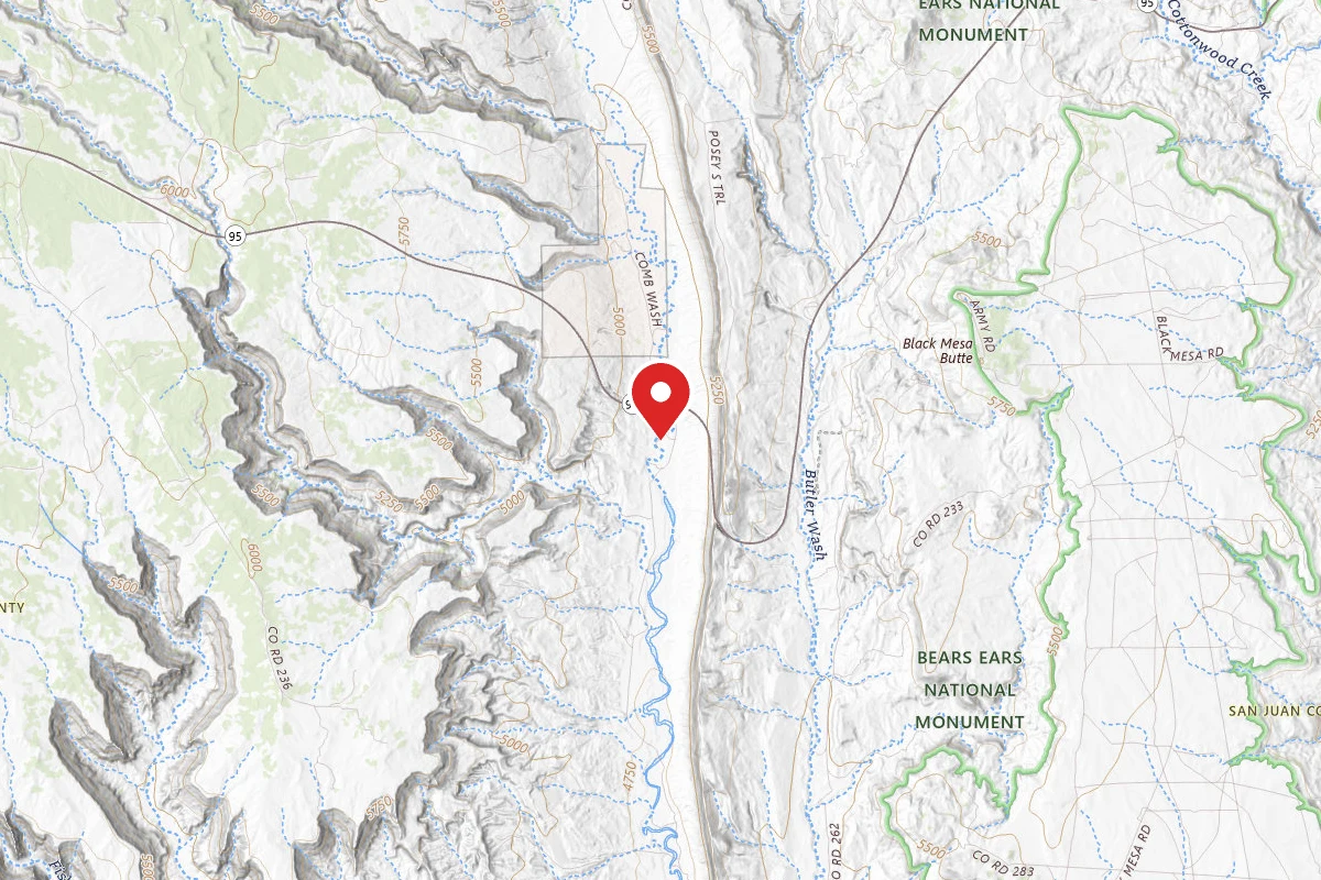 Dispersed Site near 37.5071, -109.6563