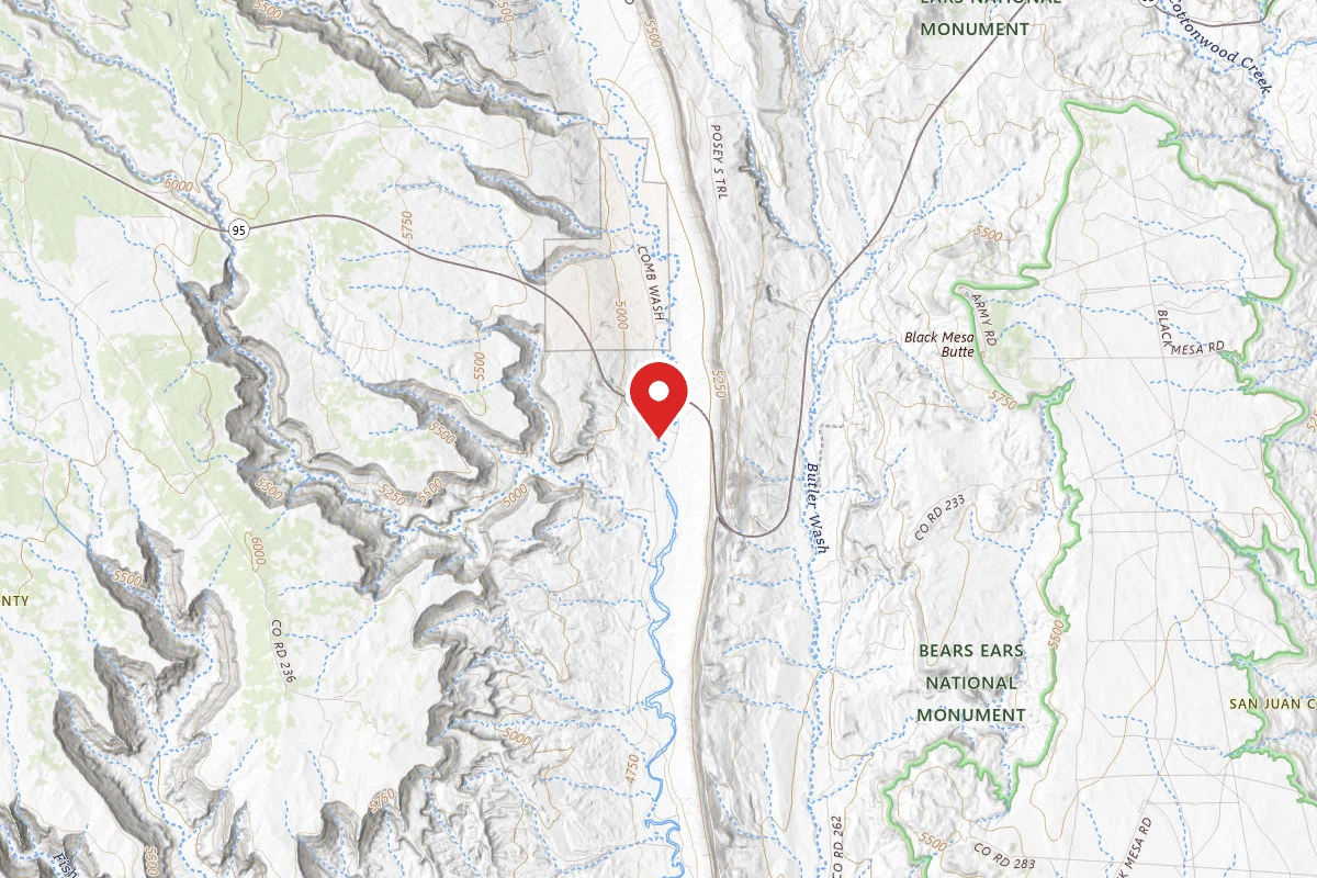 Dispersed Site near 37.5064, -109.6570