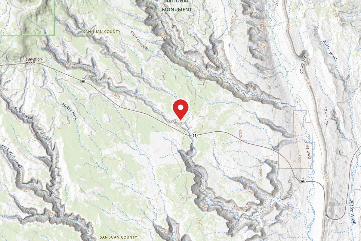Dispersed Site near 37.5391, -109.7306