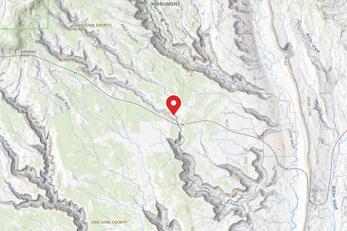 Dispersed Site near 37.5367, -109.7279