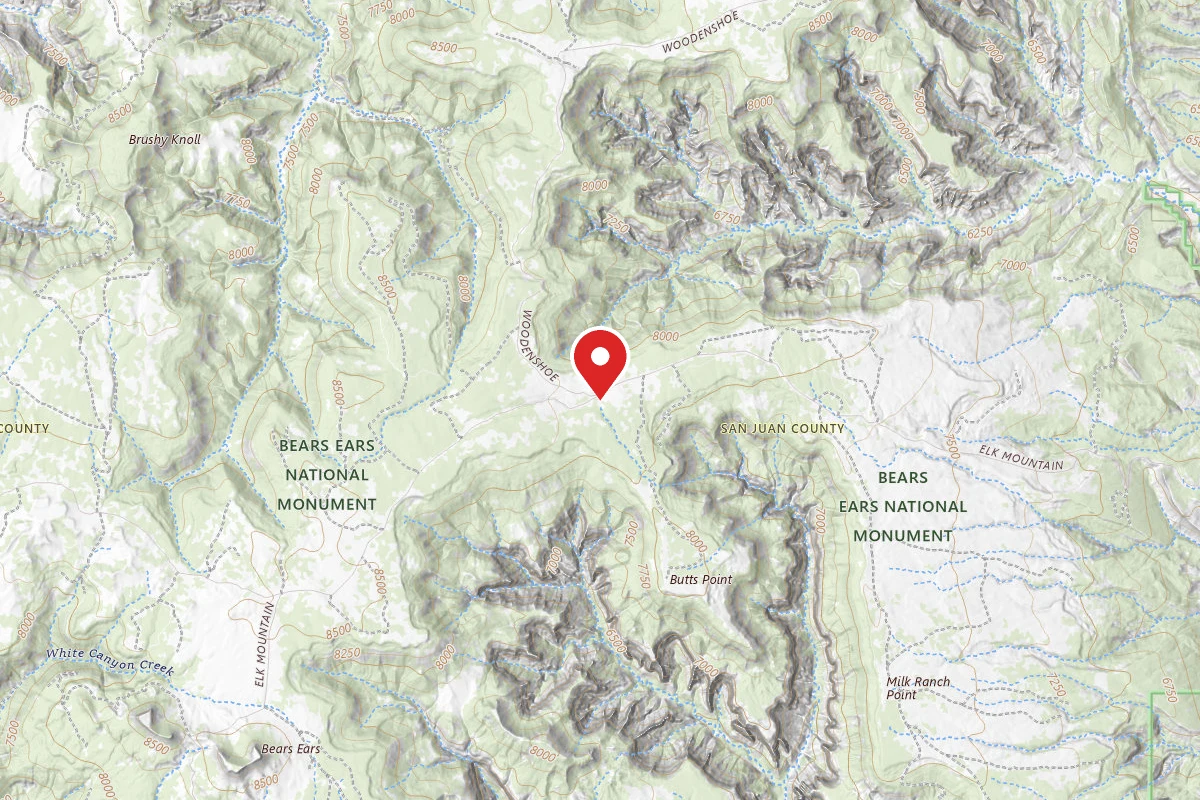Dispersed Site near 37.6754, -109.7973