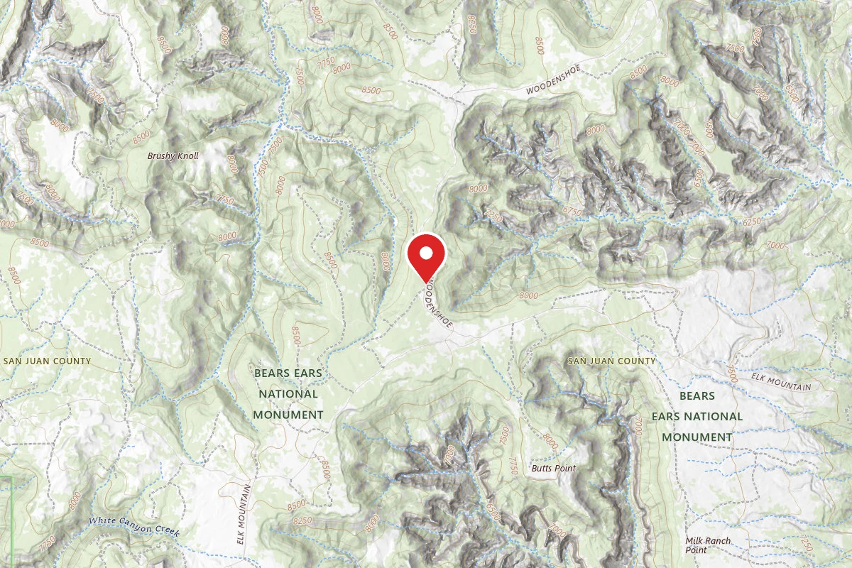 Dispersed Site near 37.6863, -109.8110