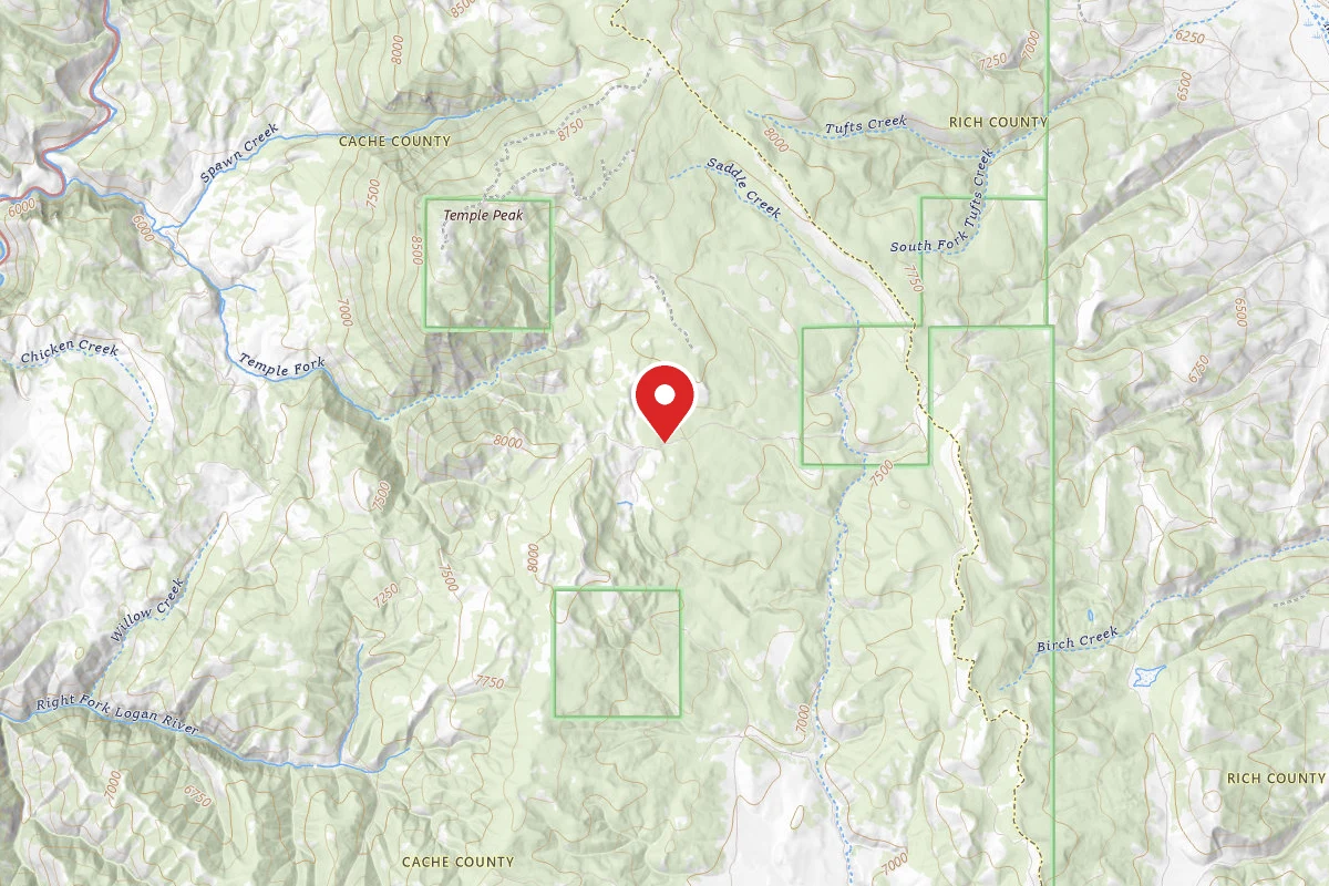 Dispersed Site near 41.8040, -111.4996