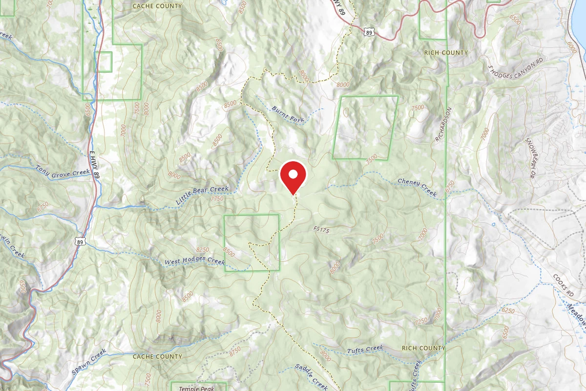 Dispersed Site near 41.8809, -111.4938